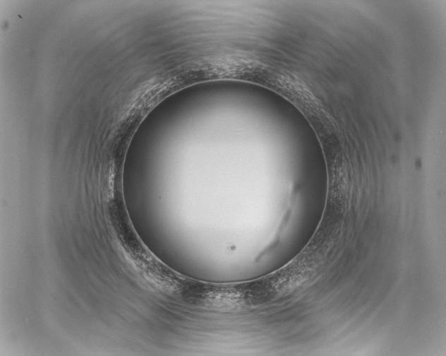 X0000060790694200511171308