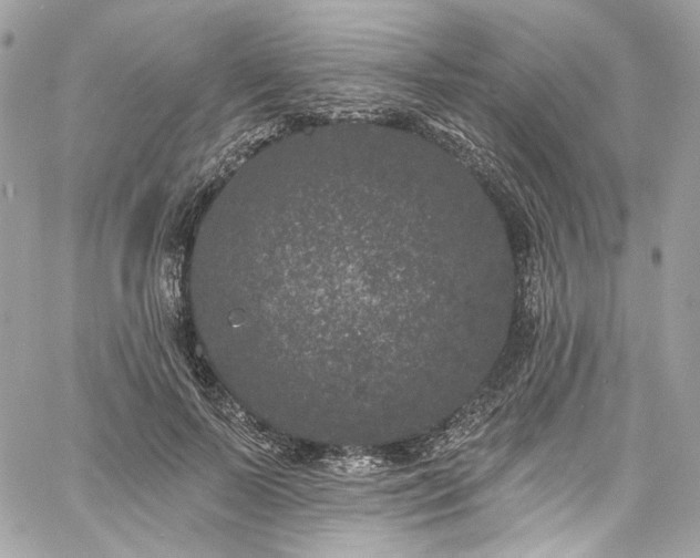 X0000060790695200511171308