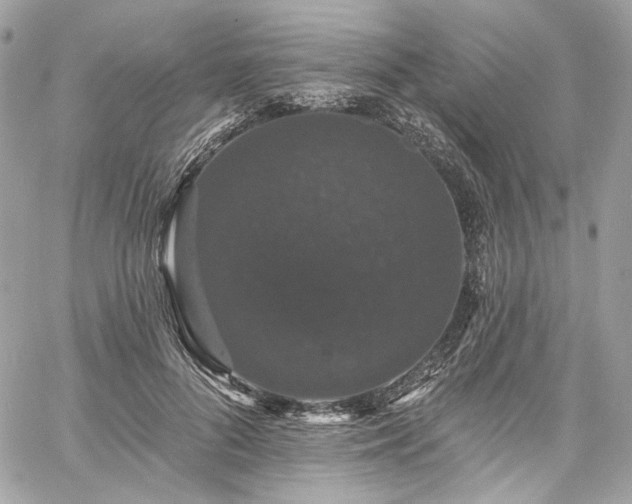 X0000060790696200511171308