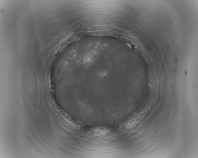 X0000060790697200511171308