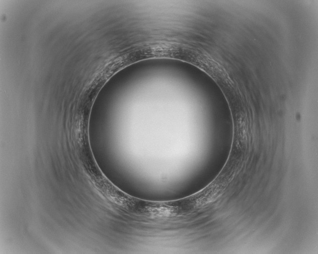 X0000060790698200511171308