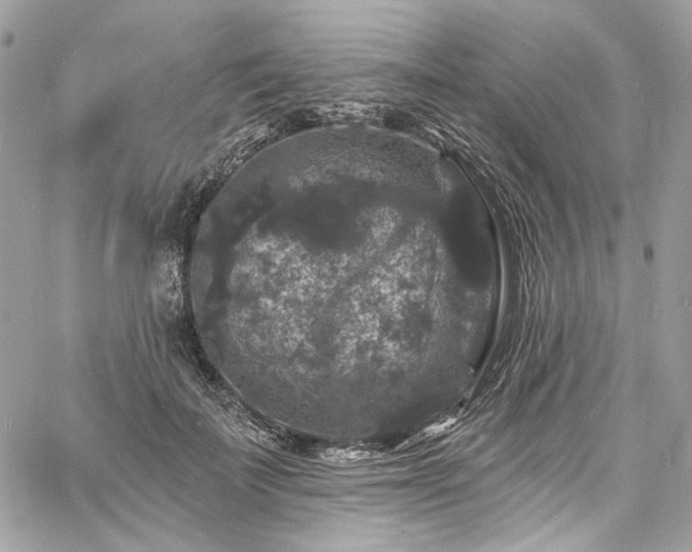 X0000060790699200511171308