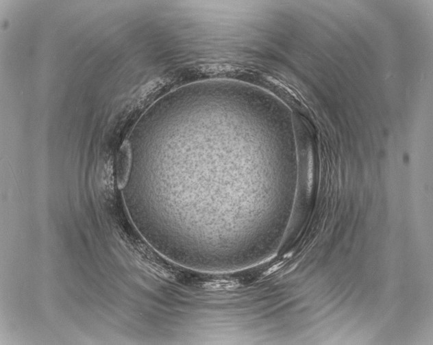 X0000060790700200511171308