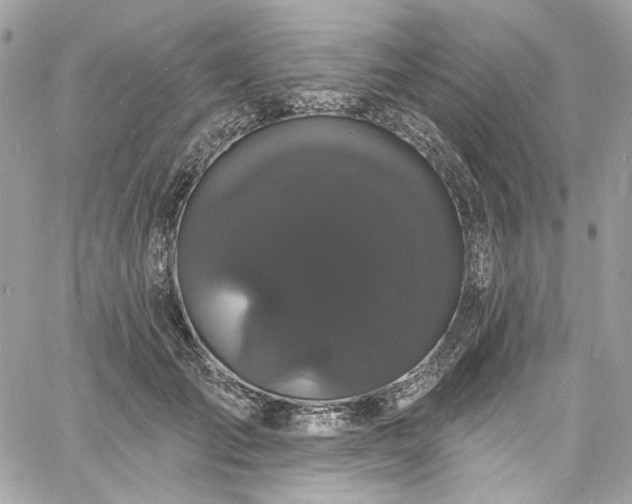 X0000060790701200511171308