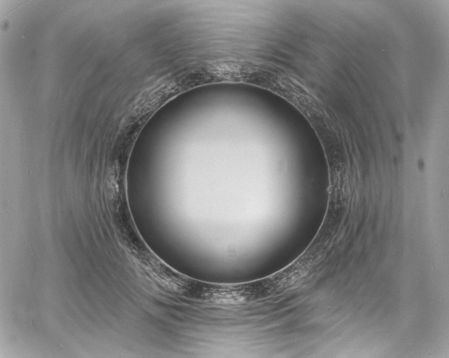 X0000060790702200511171308