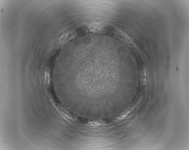 X0000060790703200511171308