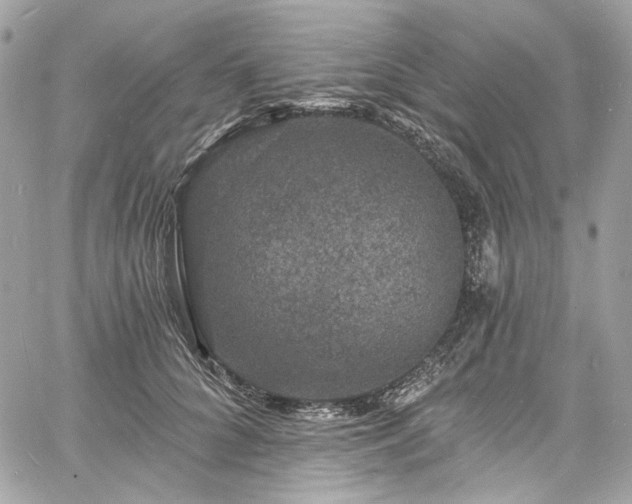 X0000060790704200511171308