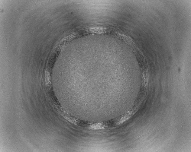 X0000060790705200511171308