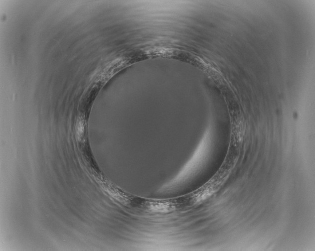 X0000060790709200511171308