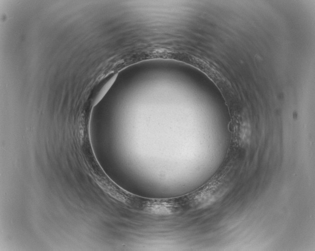 X0000060790710200511171308