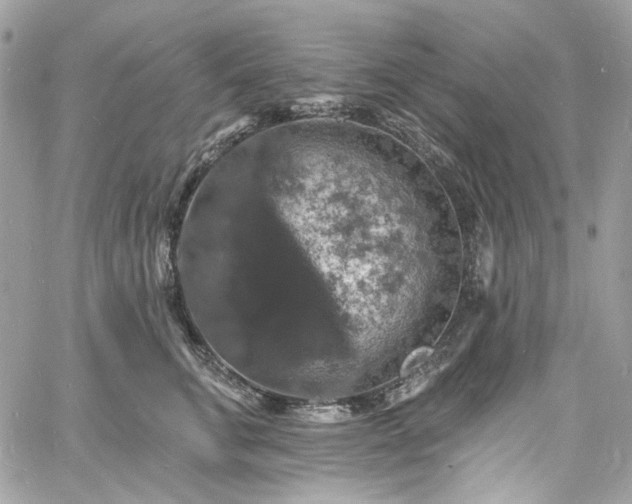 X0000060790711200511171308