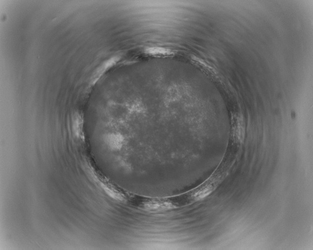 X0000060790712200511171308