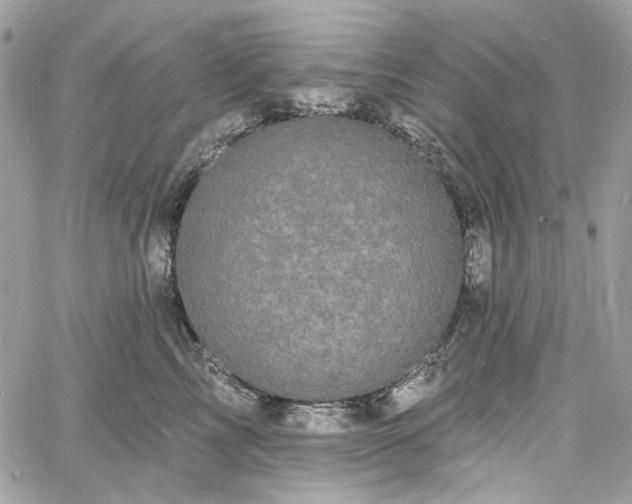 X0000060790713200511171308