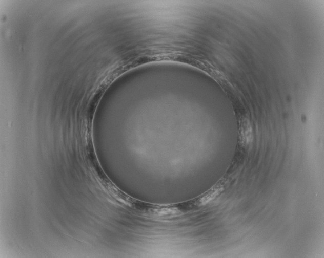 X0000060790716200511171308