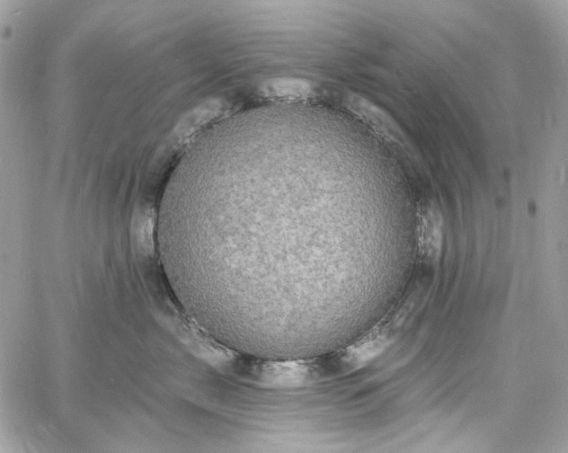 X0000060790717200511171308