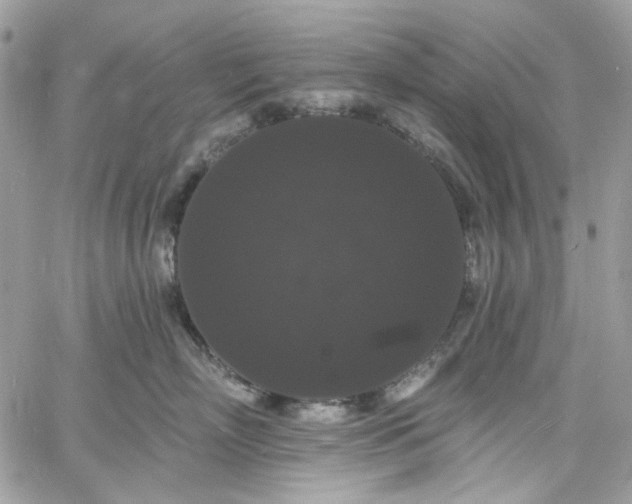 X0000060790718200511171308