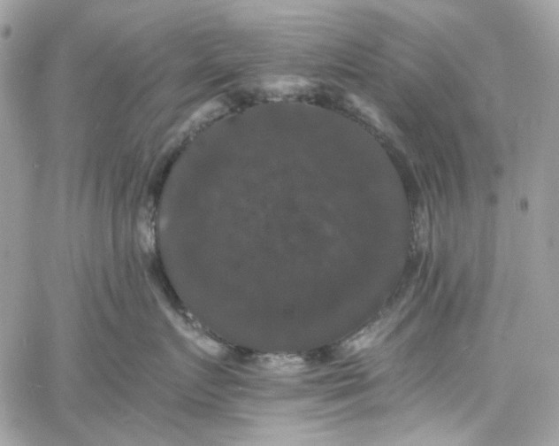 X0000060790719200511171308