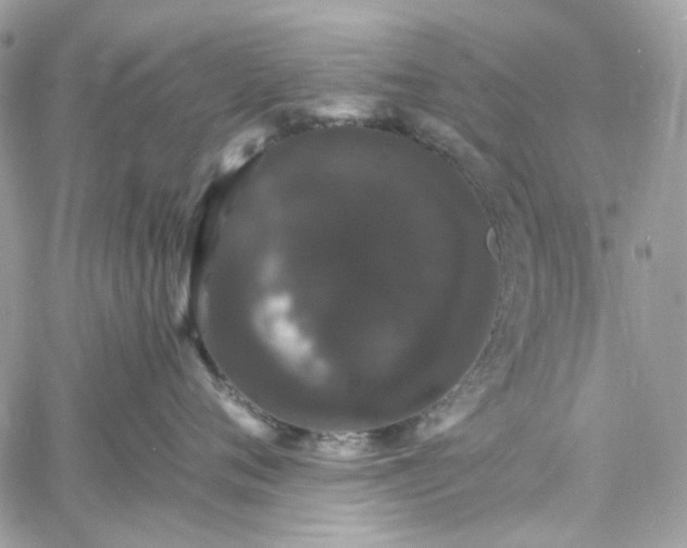 X0000060790720200511171308