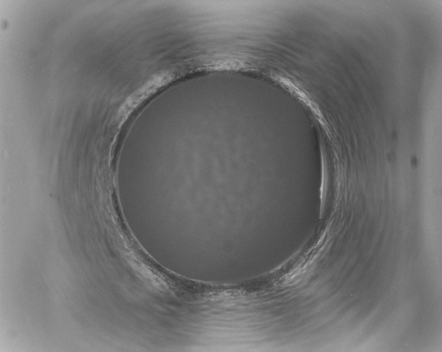 X0000060790721200511171307