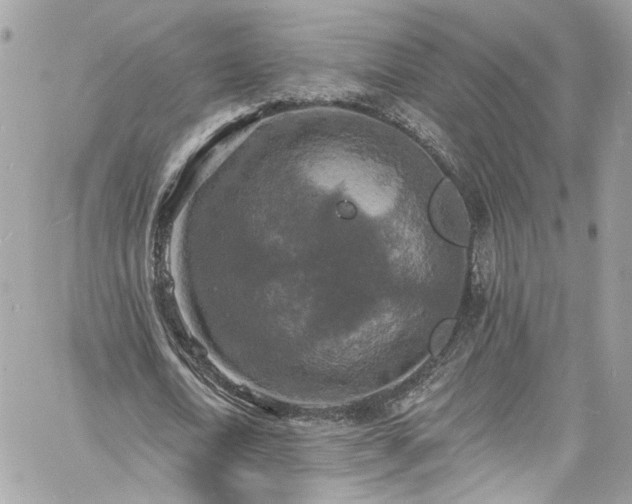 X0000060790722200511171307