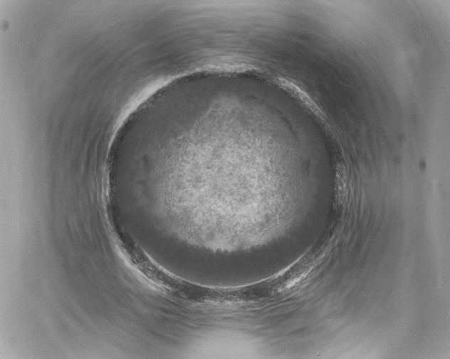 X0000060790726200511171307