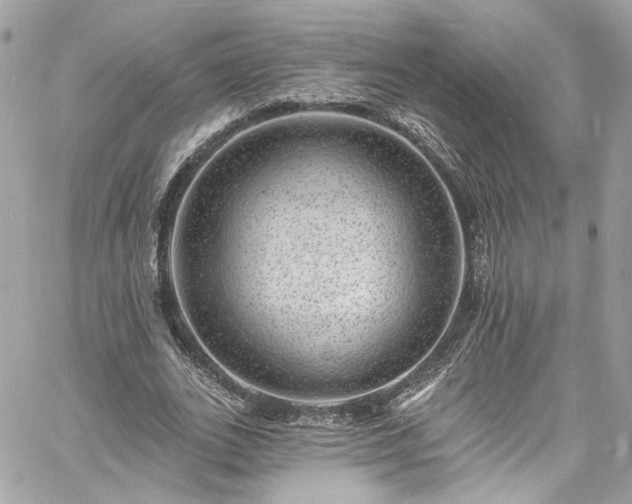 X0000060790727200511171307