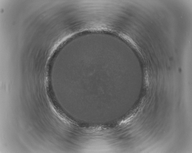 X0000060790728200511171307