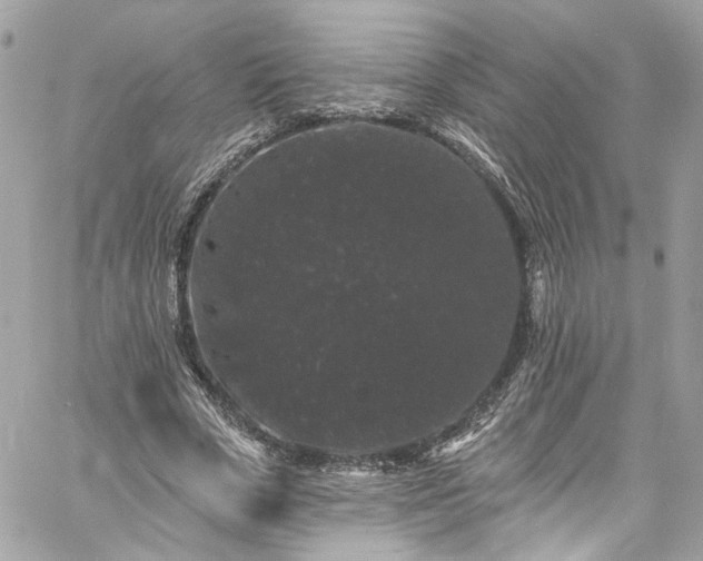 X0000060790729200511171307