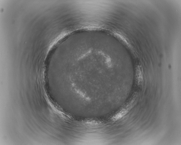 X0000060790730200511171307