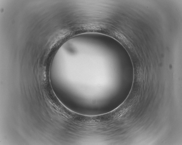 X0000060790731200511171307