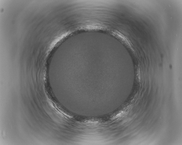 X0000060790732200511171307