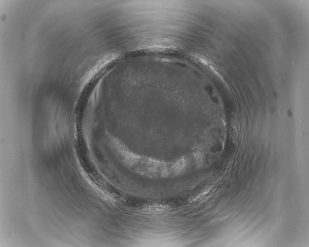 X0000060790734200511171307