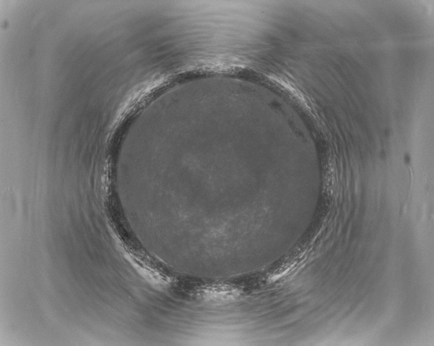 X0000060790736200511171307