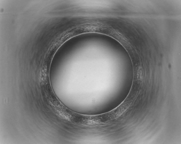 X0000060790737200511171307