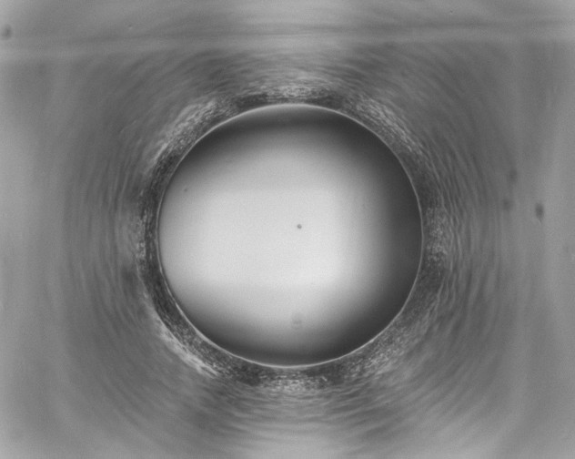 X0000060790738200511171307