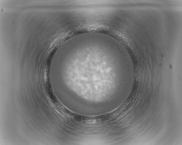 X0000060790740200511171308