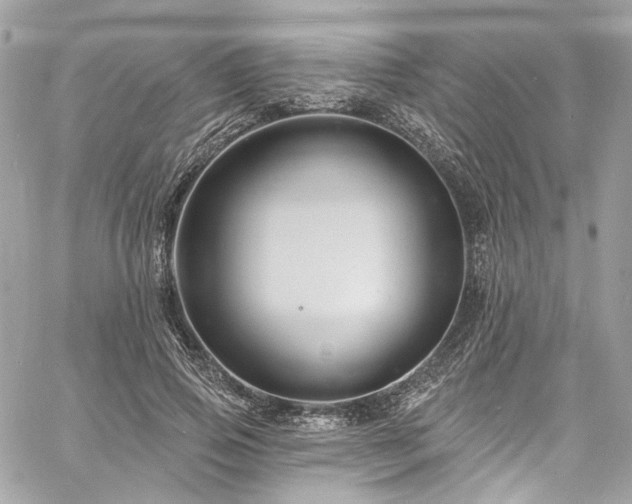 X0000060790741200511171308