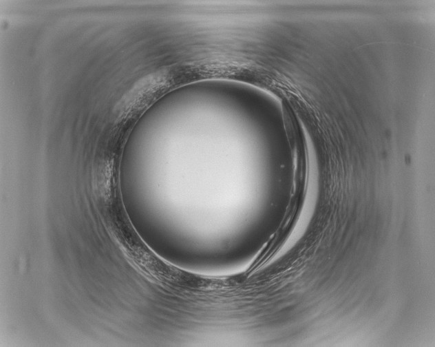 X0000060790742200511171308