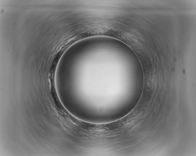 X0000060790743200511171308