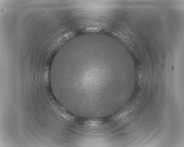 X0000060790745200511171308