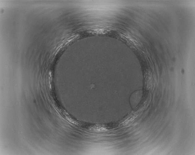 X0000060790747200511171308