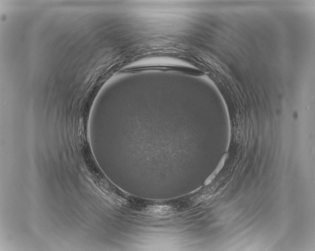 X0000060790748200511171308