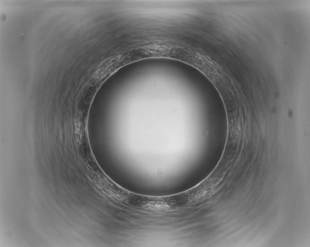 X0000060790749200511171308