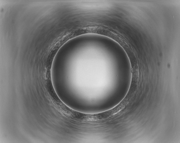 X0000060790750200511171308