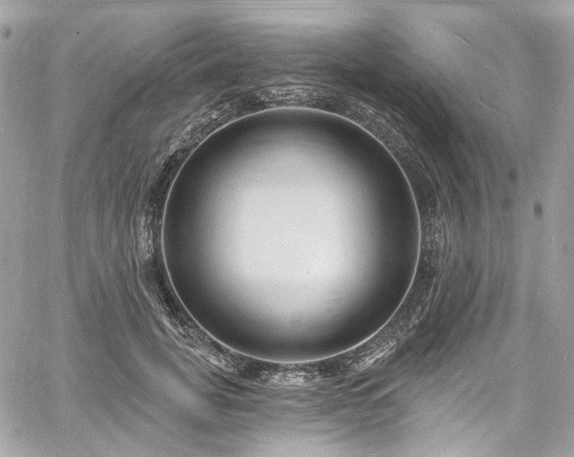 X0000060790751200511171308