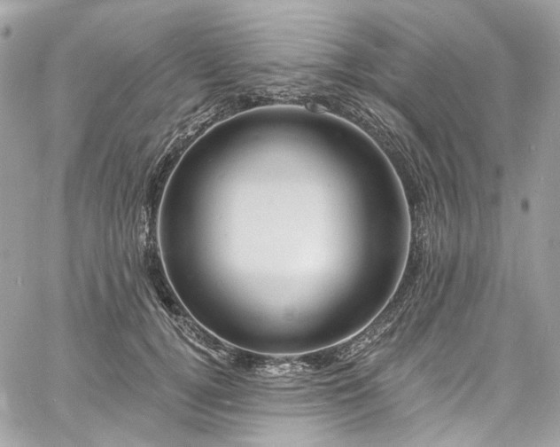 X0000060790752200511171308