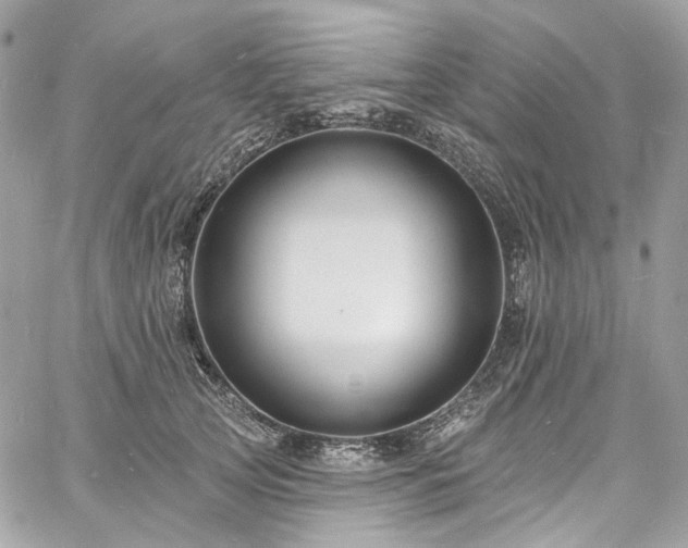 X0000060790753200511171308