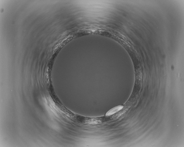 X0000060790754200511171308