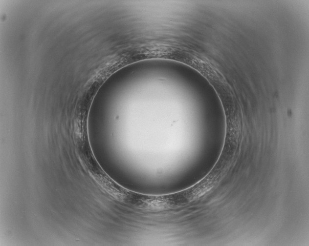 X0000060790755200511171308