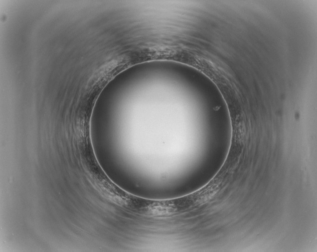 X0000060790756200511171308